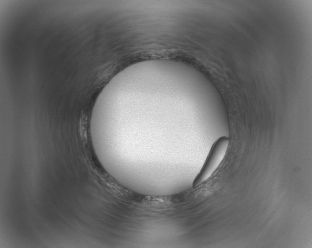 X0000056350768200509161802