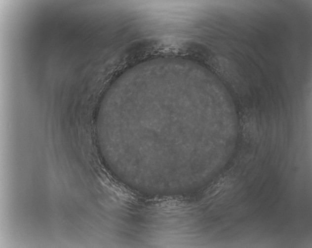 X0000056350769200509161801