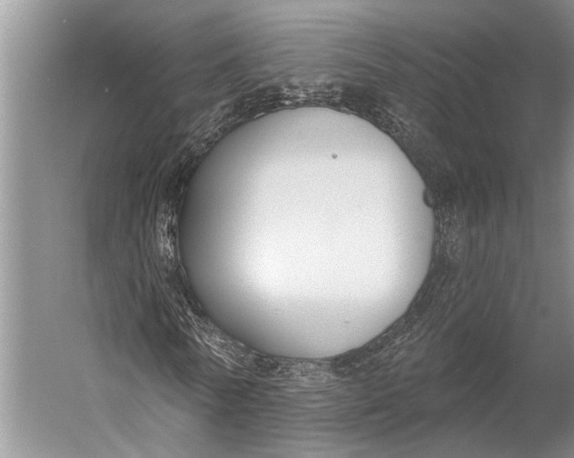 X0000056350770200509161801