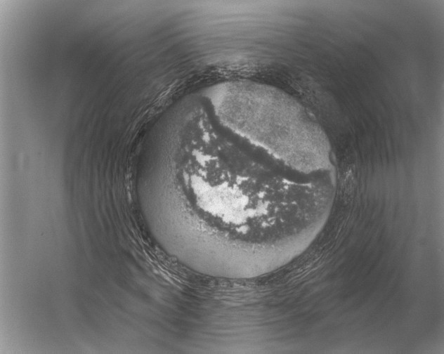 X0000056350772200509161801