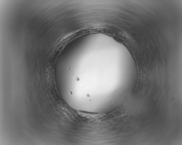 X0000056350773200509161801