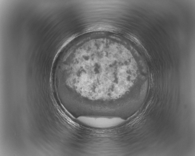 X0000056350780200509161801