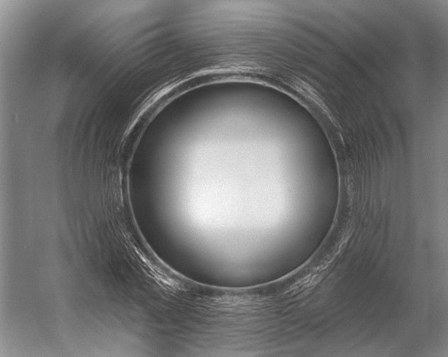 X0000056350781200509161801