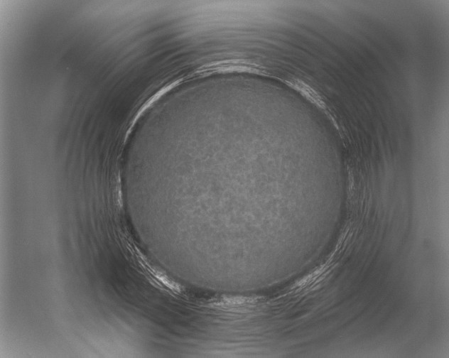 X0000056350782200509161801