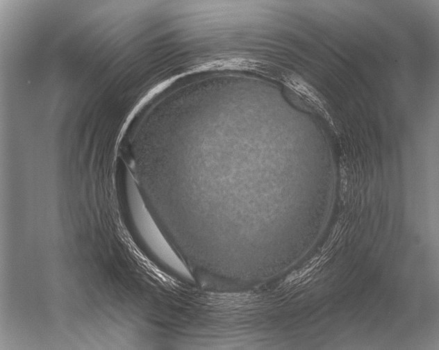 X0000056350784200509161801