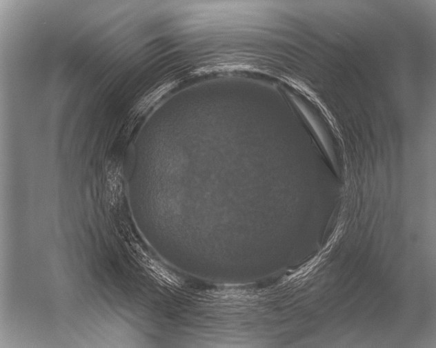 X0000056350785200509161801