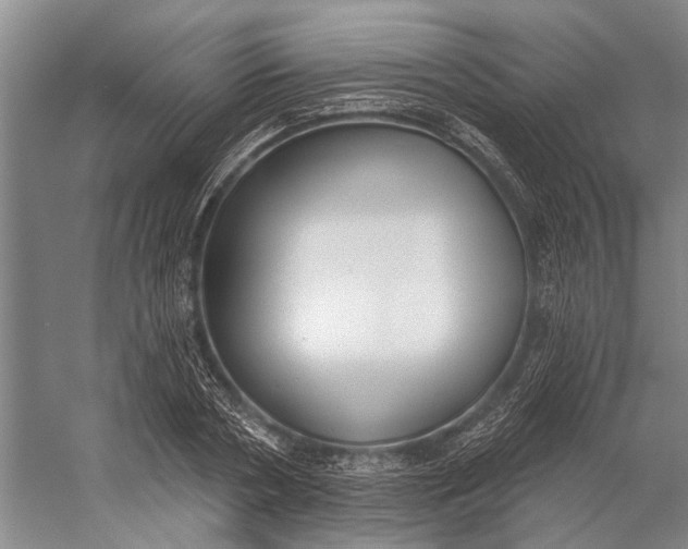 X0000056350786200509161801