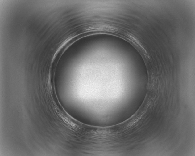 X0000056350788200509161801