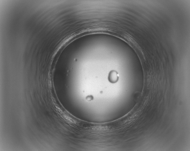 X0000056350789200509161800