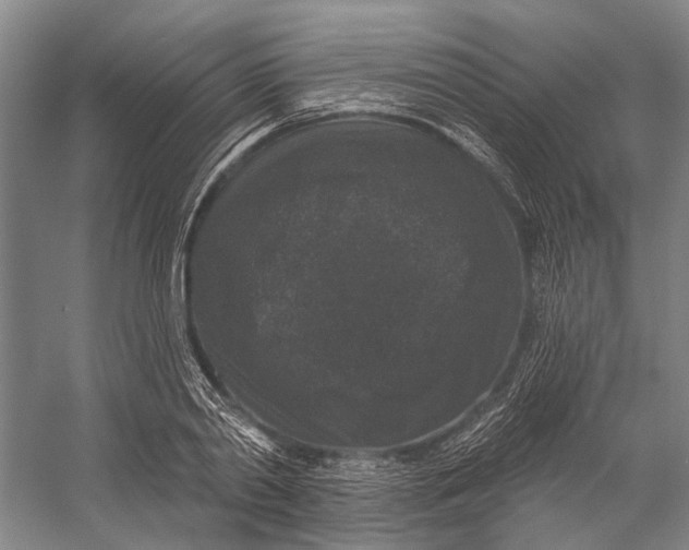 X0000056350790200509161800