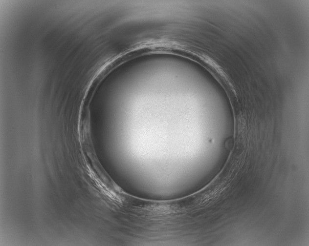 X0000056350791200509161800