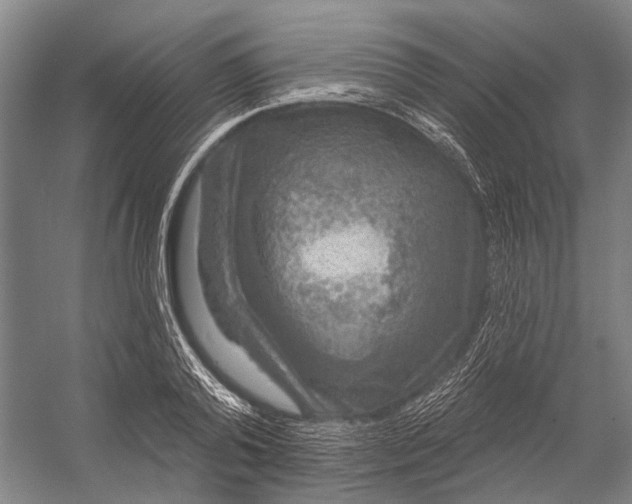 X0000056350792200509161800