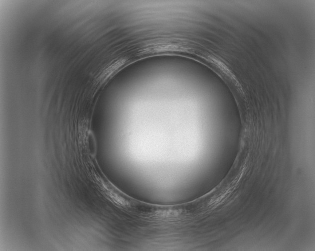 X0000056350793200509161800