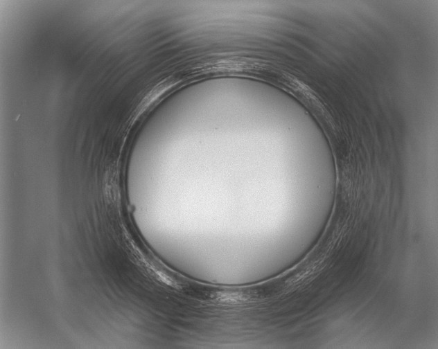 X0000056350794200509161800