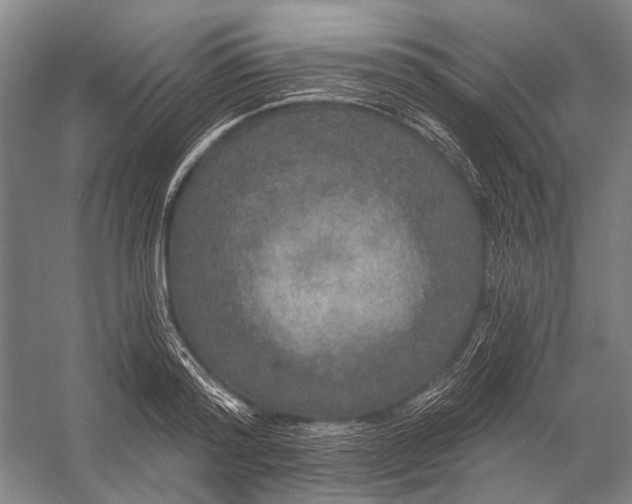 X0000056350796200509161800