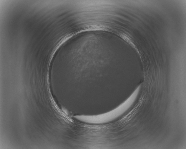 X0000056350797200509161800