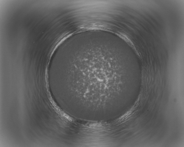 X0000056350798200509161800