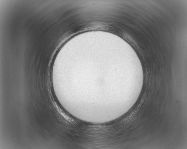 X0000056350800200509161800