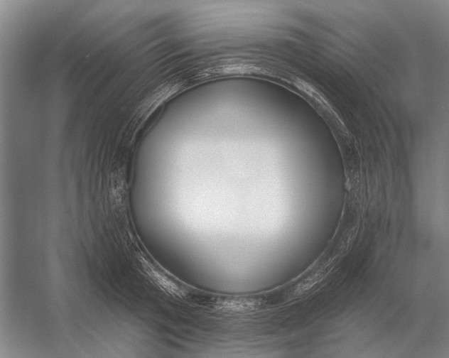 X0000056350801200509161800