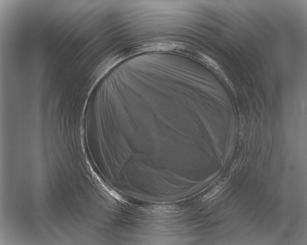 X0000056350802200509161800