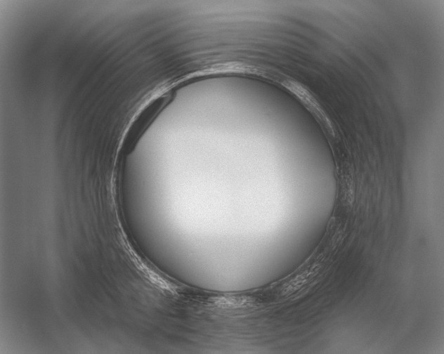 X0000056350805200509161800