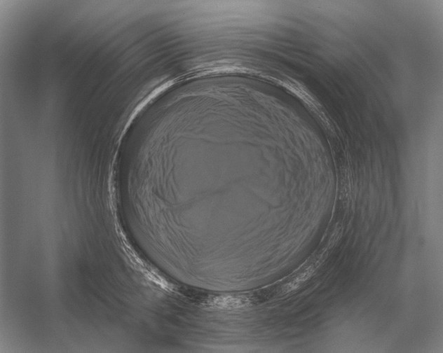 X0000056350806200509161800