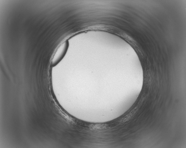 X0000056350808200509161800