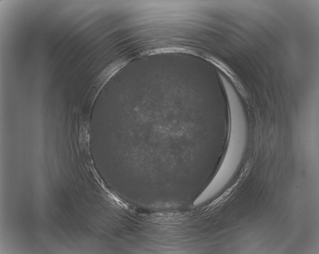 X0000056350809200509161800