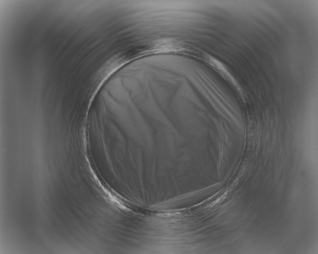 X0000056350810200509161800