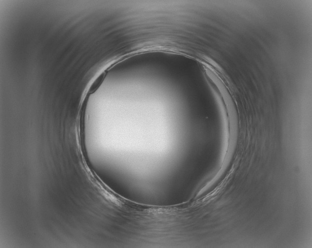 X0000056350812200509161800