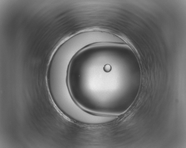 X0000056350813200509161800