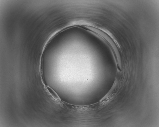 X0000056350815200509161800