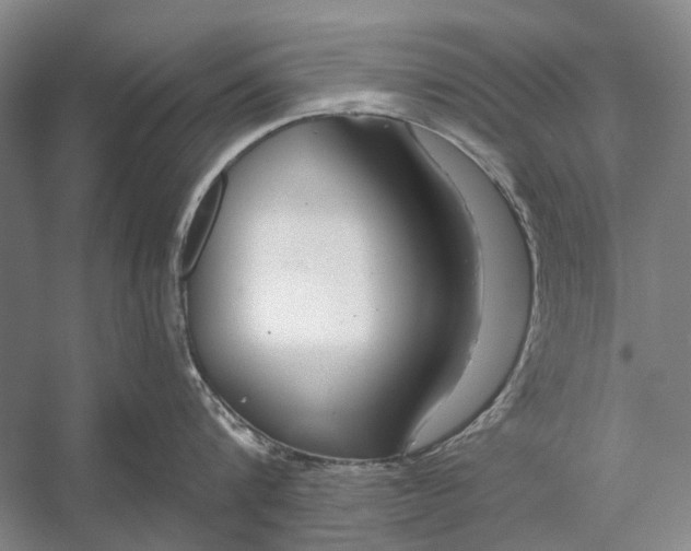 X0000056350816200509161800