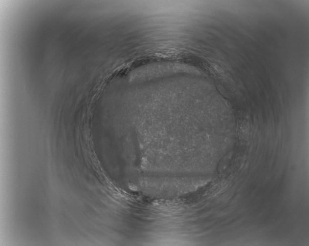 X0000056350817200509161759