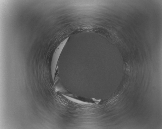 X0000056350818200509161759