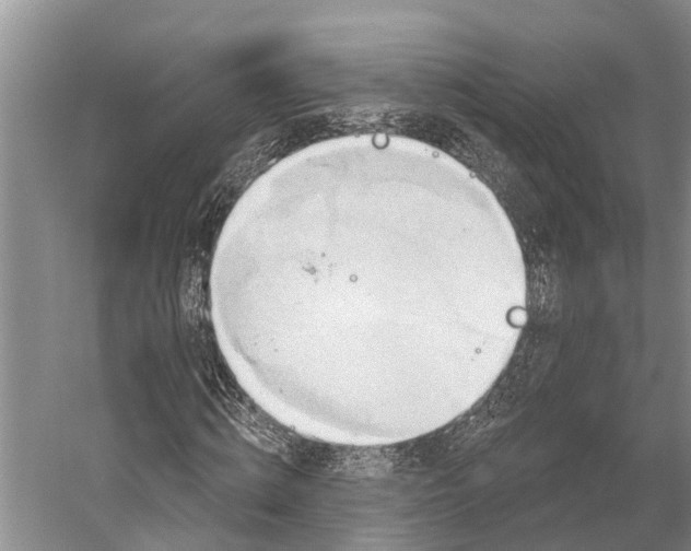 X0000056350820200509161759