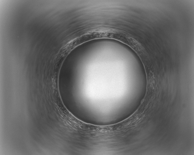 X0000056350821200509161759