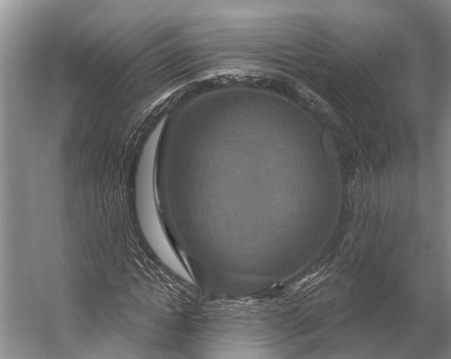 X0000056350822200509161759