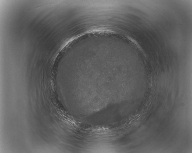 X0000056350823200509161759