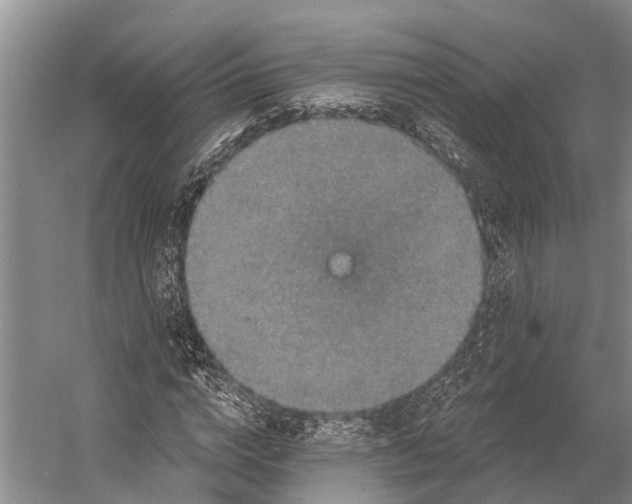 X0000056350824200509161759