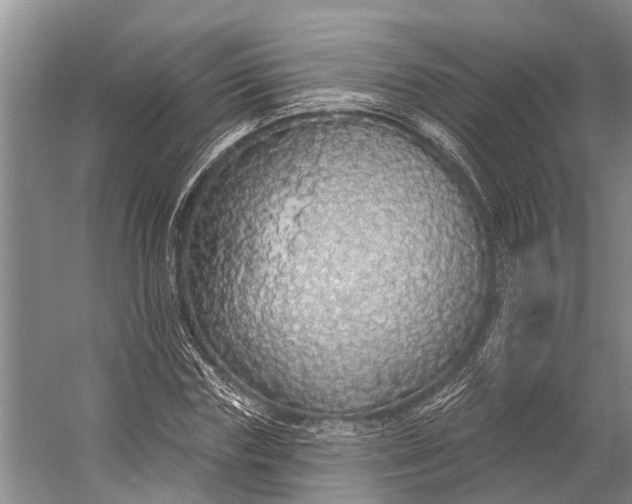 X0000056350827200509161759