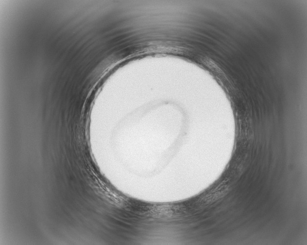 X0000056350828200509161759