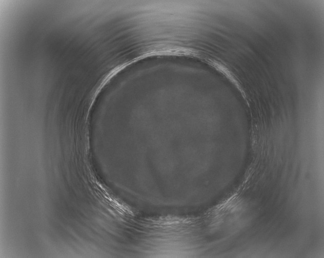 X0000056350829200509161759