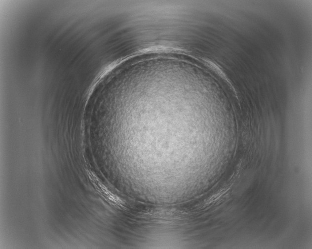 X0000056350831200509161759