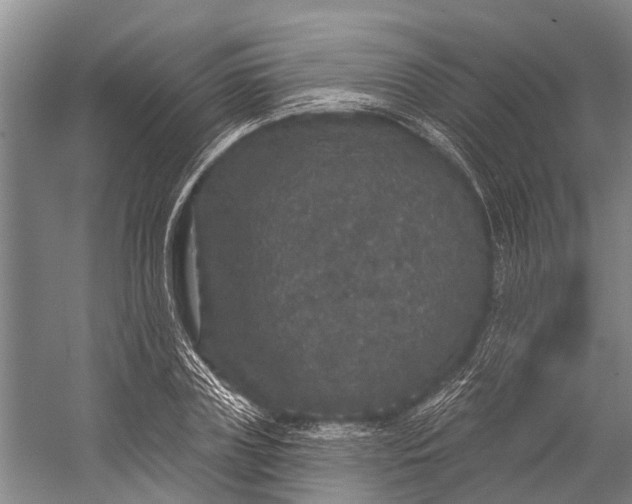 X0000056350835200509161800