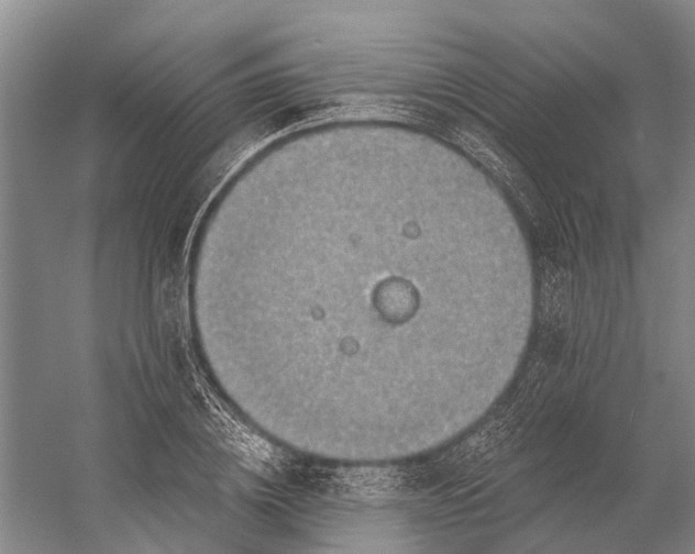 X0000056350836200509161800