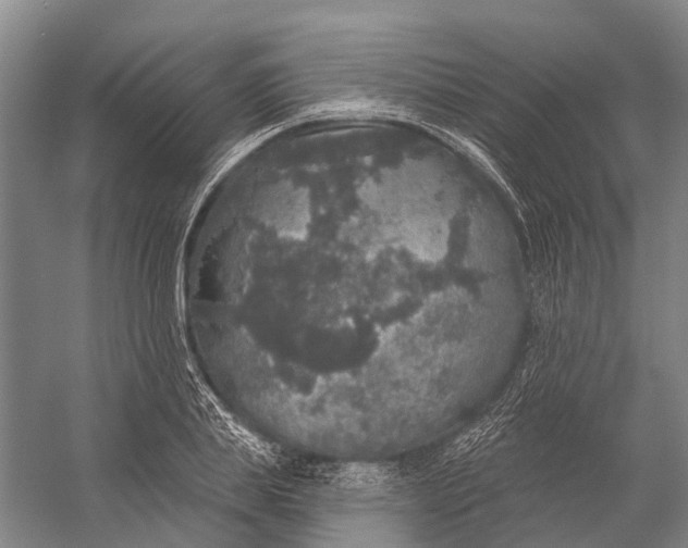 X0000056350839200509161800