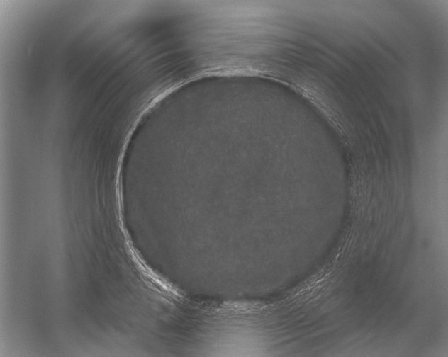 X0000056350840200509161800