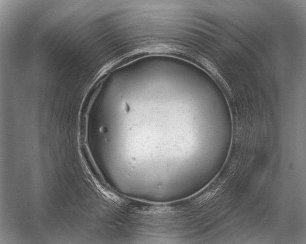 X0000056350845200509161800