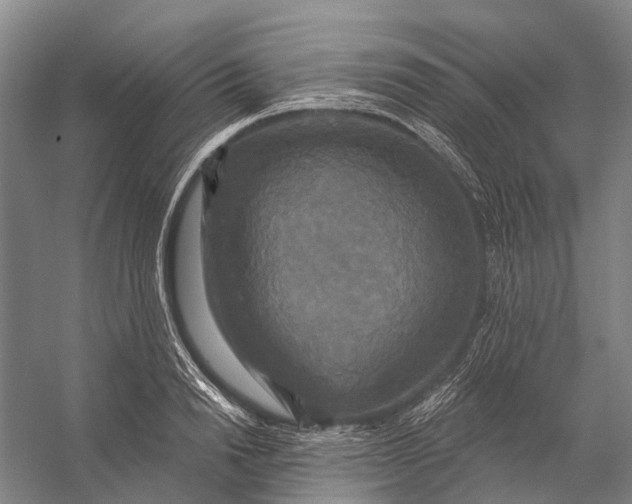 X0000056350846200509161800